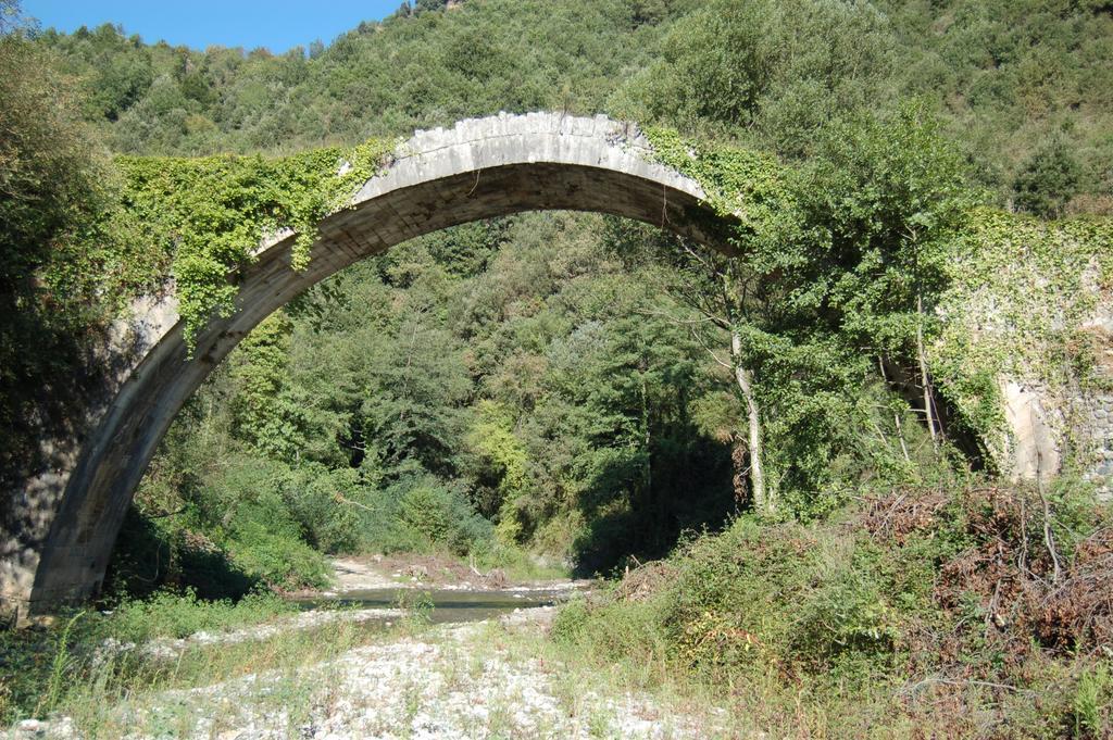 B&B Calabria Scigliano Exteriör bild