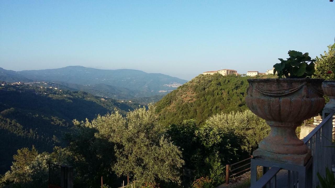 B&B Calabria Scigliano Exteriör bild
